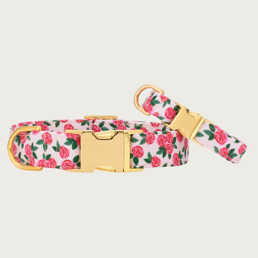 Two Rosette collars with different widths (5/8" and 1"), with the smaller & more narrow collar leaning on the larger one.