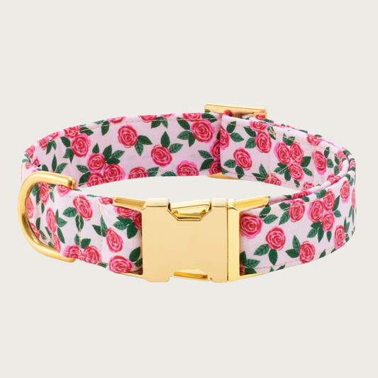 Dog collar featuring a floral print with groupings of reddish pink rosettes & green leaves, on a blush pink background. Gold-toned metal hardware.