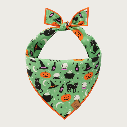 Halloween themed dog bandana, featuring witch-themed illustrations  such as pointy hats, crystal balls, black cats, cauldrons, etc. in black, white, orange, and purple colors, on a light green colored background. Edge of bandana is trimmed in orange thread.