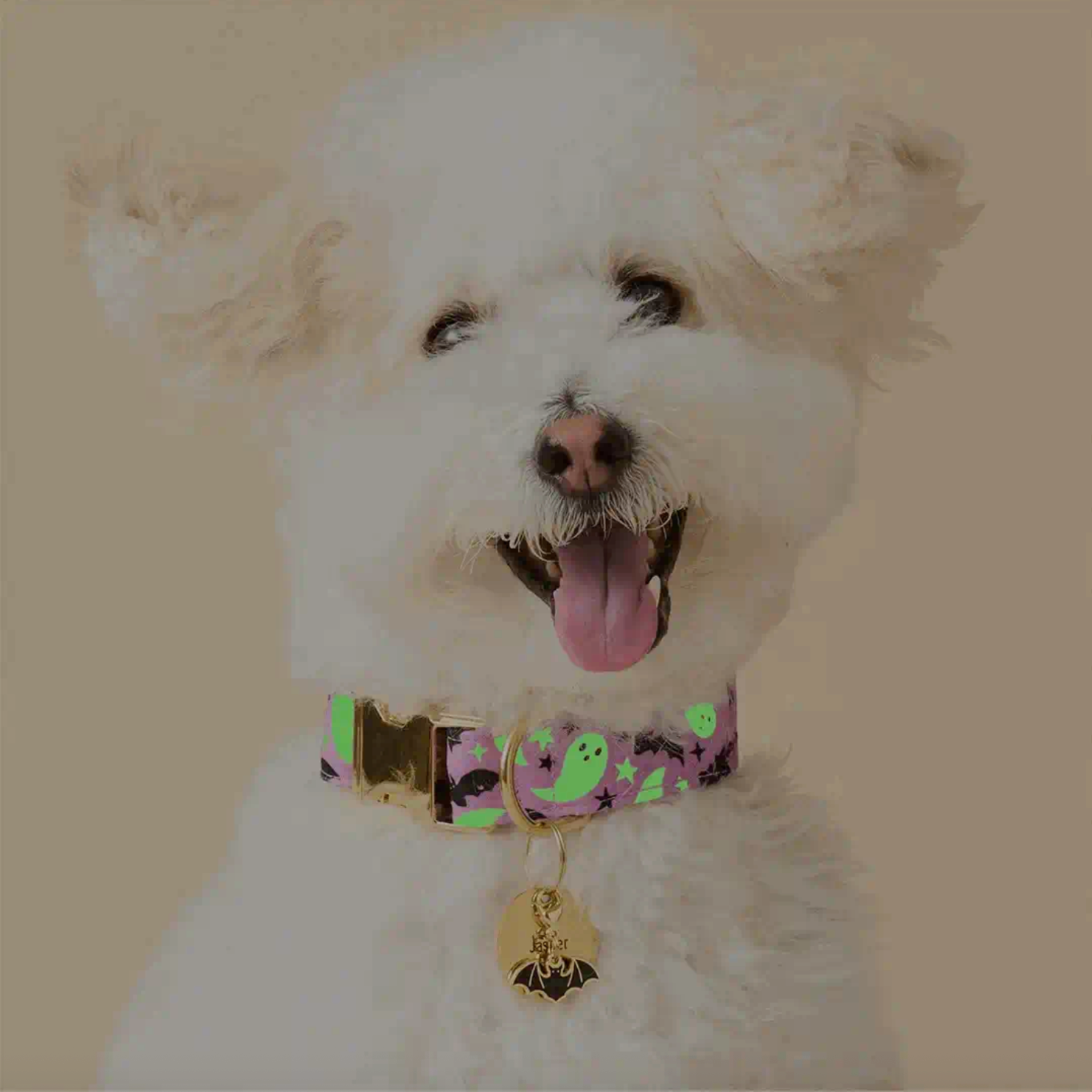 Image of a white fluffy dog wearing the collar in dim light, to show the glowing green ghosts and stars on the collar.