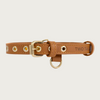 Caramel colored (warm medium brown) faux leather buckle style dog collar, with gold-toned grommets, buckle, and 2 D-rings. Collar also features 2 round, stationary faux leather loops to hold the extra strap length in place.