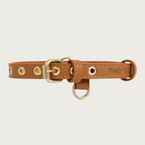 Caramel colored (warm medium brown) faux leather buckle style dog collar, with gold-toned grommets, buckle, and 2 D-rings. Collar also features 2 round, stationary faux leather loops to hold the extra strap length in place.