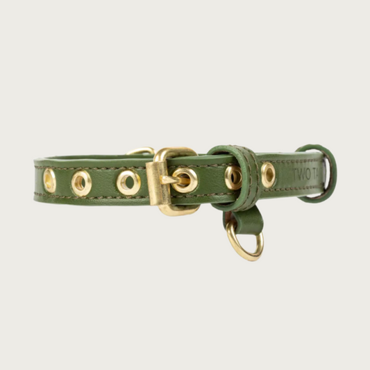 Olive green colored faux leather buckle style dog collar, with gold-toned grommets, buckle, and 2 D-rings. Collar also features 2 round, stationary faux leather loops to hold the extra strap length in place.