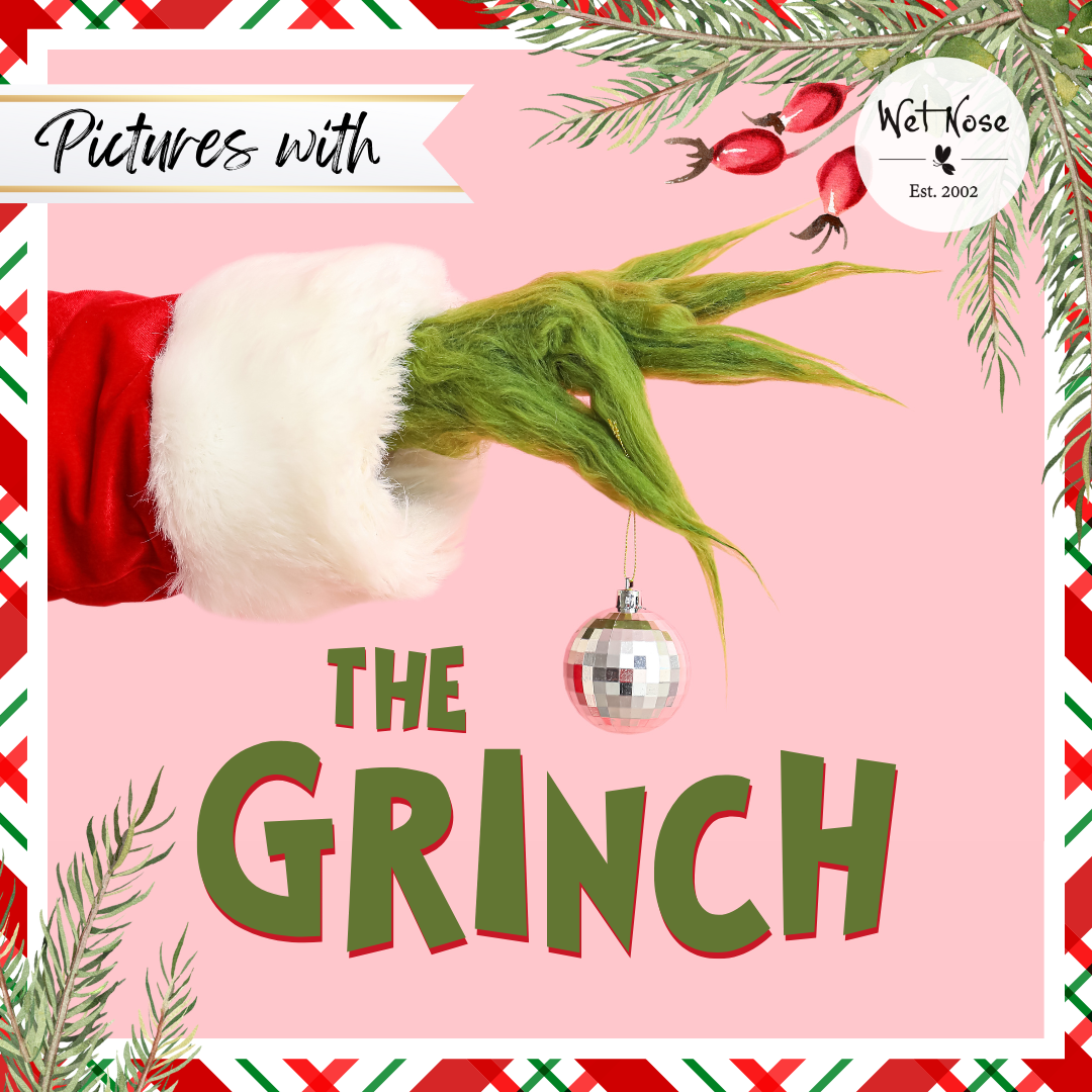 Pictures With The Grinch