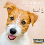 Semi-Private Puppy Training - Level 2