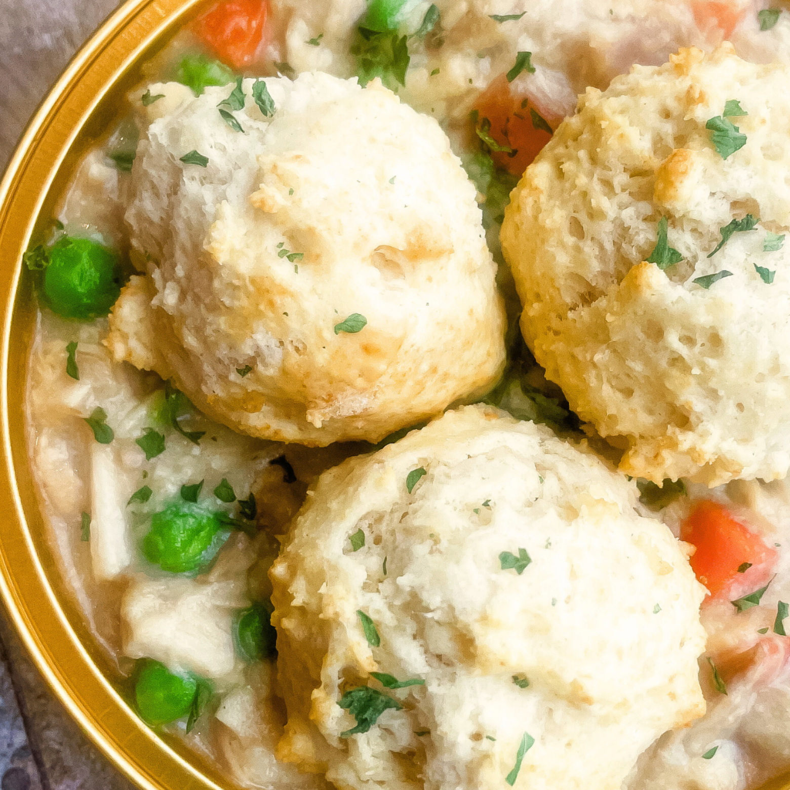 Bowl of turkey and dumplings for dogs