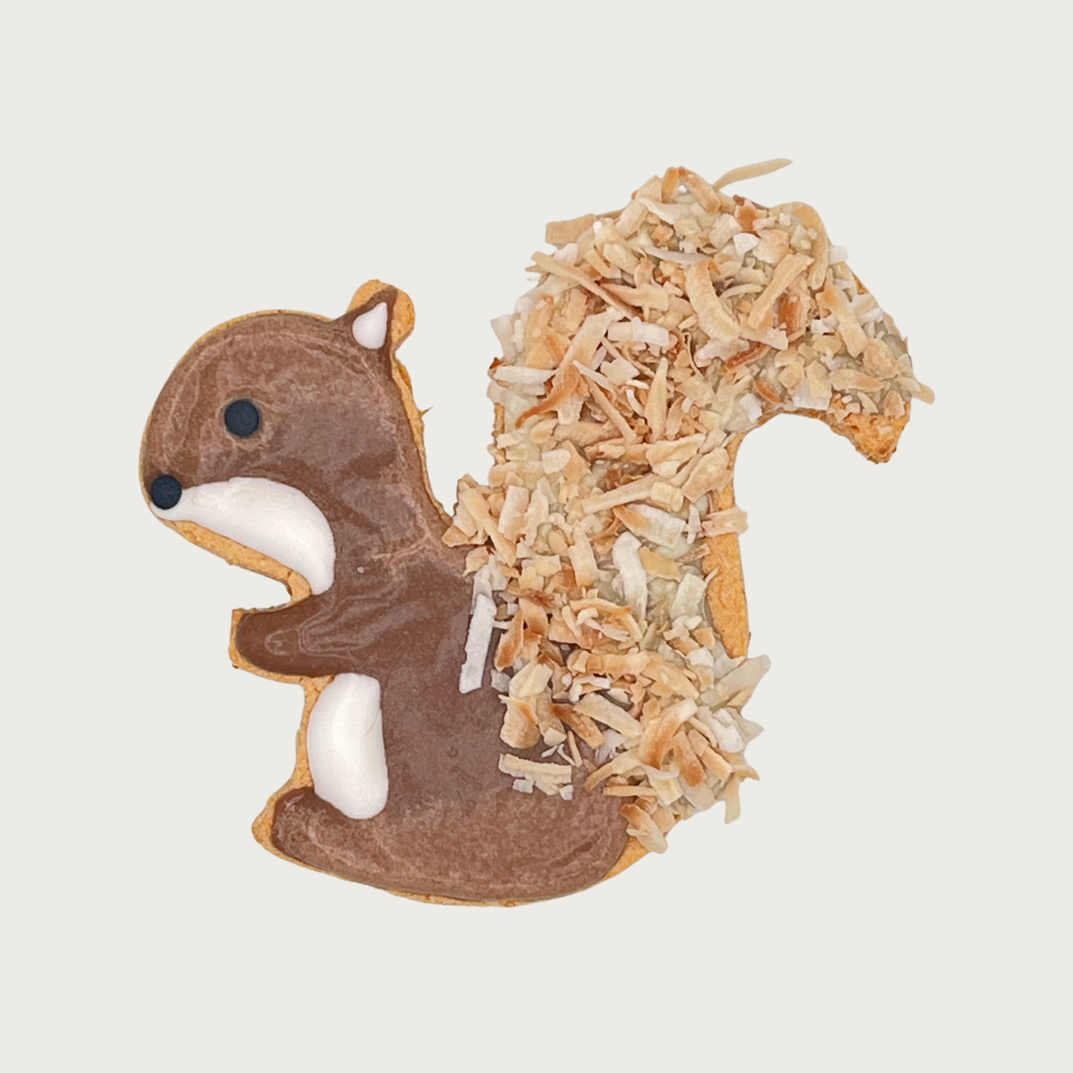 Dog cookie shaped like a squirrel, viewed from its side. It's body is dark brown with white chest & belly, black dots for an eye and nose, and a large, curved tail decorated with toasted, shredded coconut.