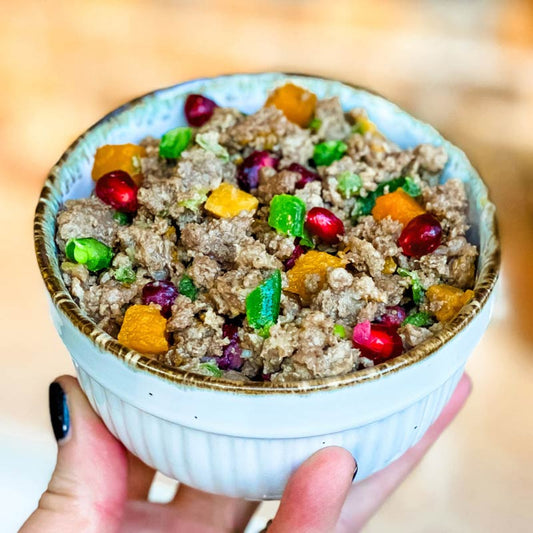 A bowl of ground beef meal topper for pets mixed with organic squash, green beans, and pomegranate arils.