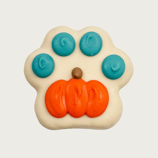 Dog cookie shaped like a white paw print with a pumpkin-shaped paw pad and and teal toes.