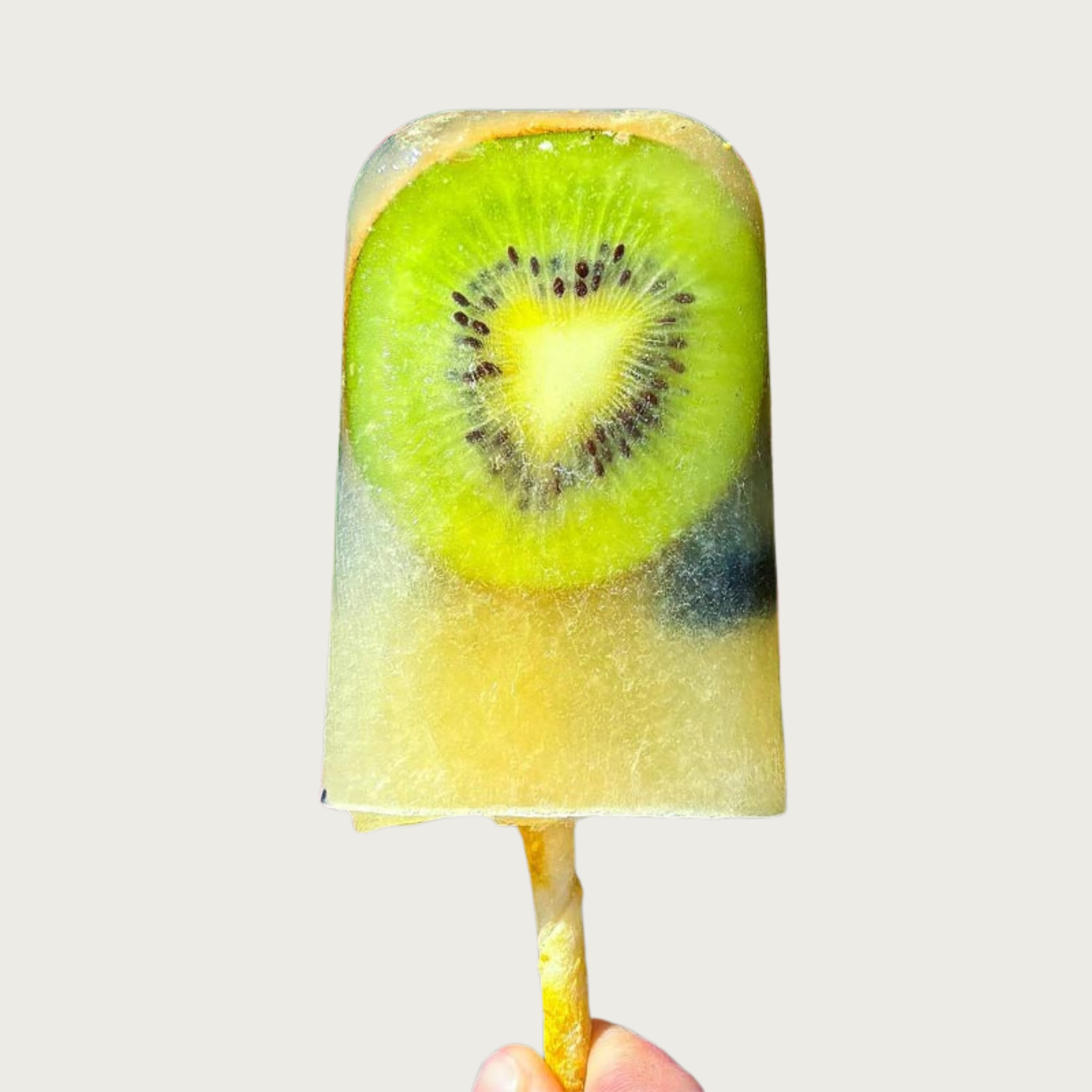 A pale yellow popsicle treat for dogs, with visible blueberries and sliced kiwi inside, held by its edible No-Hide Chicken Stick.
