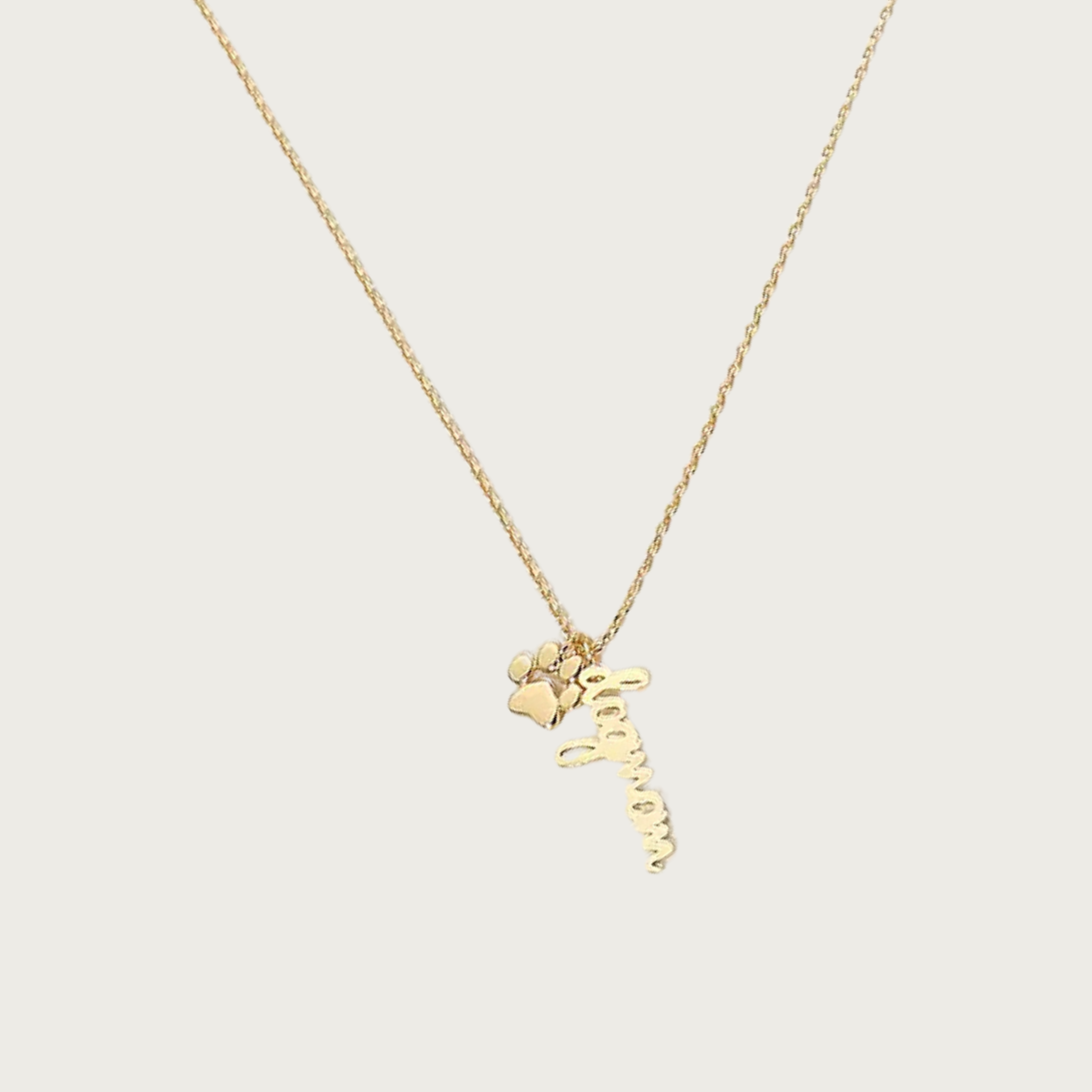 Delicate gold chain necklace with 'dogmom' pendant in script text, with a small paw print charm next to it.