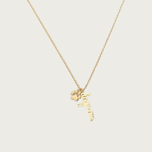 Delicate gold chain necklace with 'dogmom' pendant in script text, with a small paw print charm next to it.