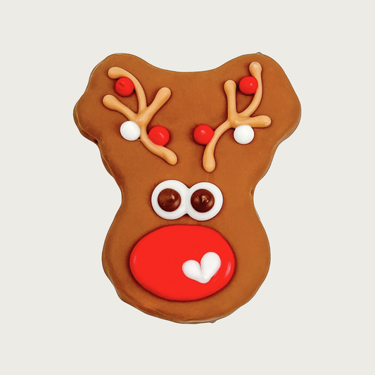 Dog cookie decorated to look like Rudolph the Red-Nosed Reindeer. It is covered in a brown coating, with large red nose with a small white heart on it, and antlers with red & white ornaments.
