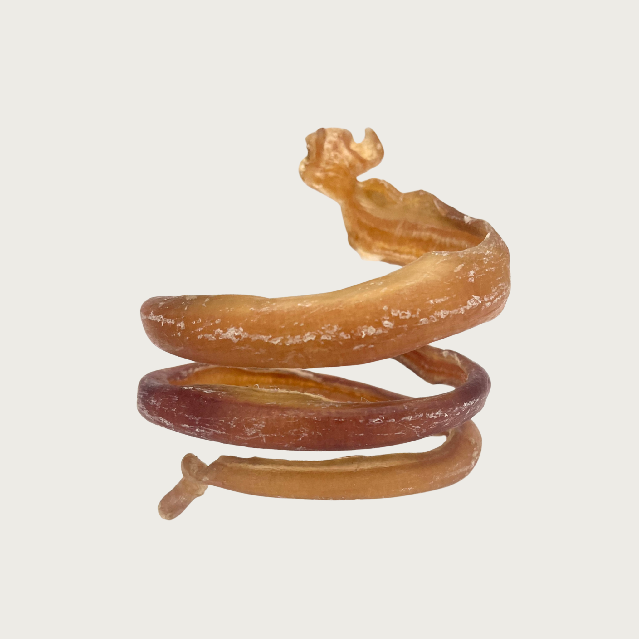 Dog dental chew in the shape of a large coil. It is reddish-tan in color.