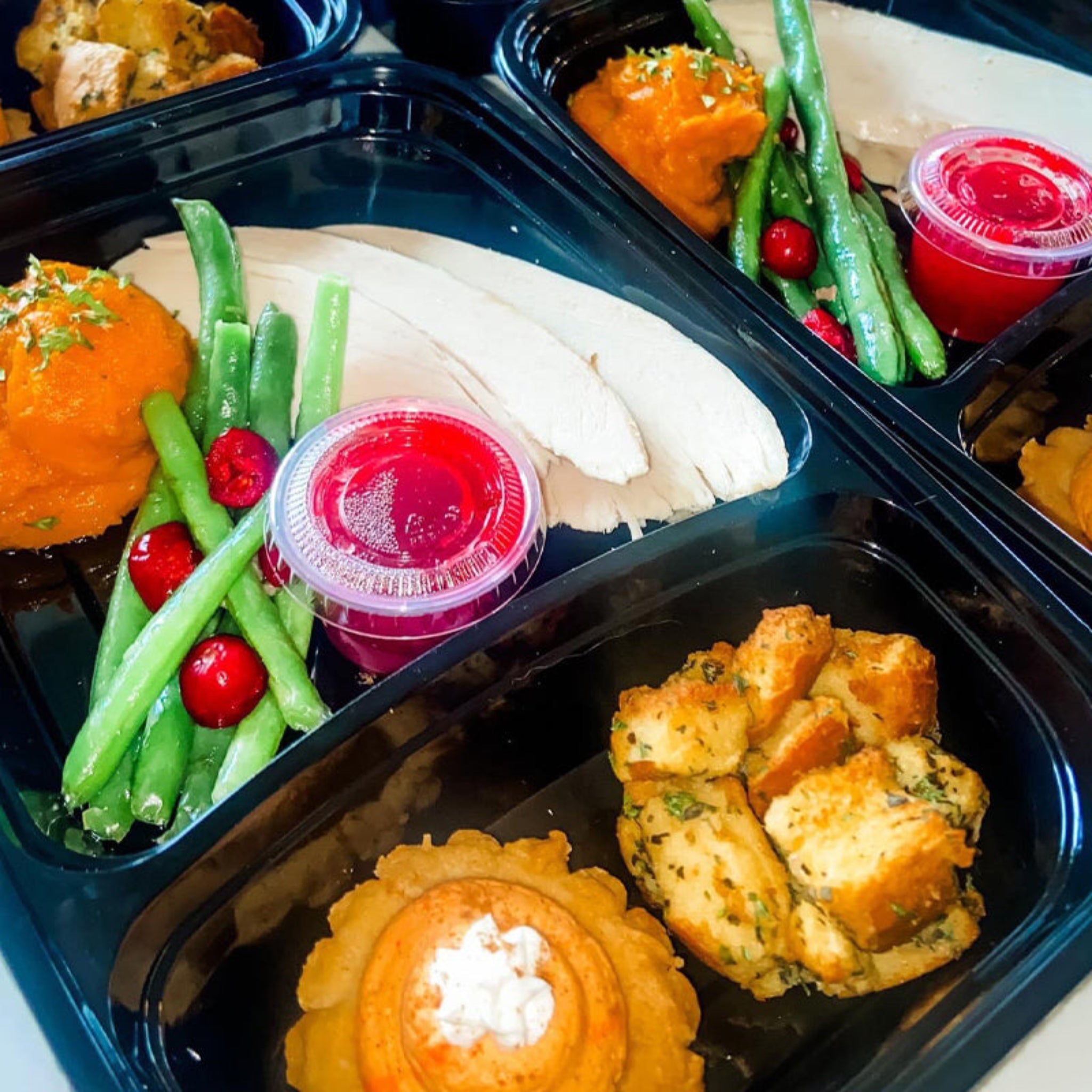 Freshly prepared Thanksgiving Dinner for dogs. Served in a two-sided black plastic container. On one side there is sliced turkey, mashed sweet potatoes, green beans, and a portion cup of cranberry sauce. On the other side is a serving of dressing and a mini pumpkin pie tartlet.