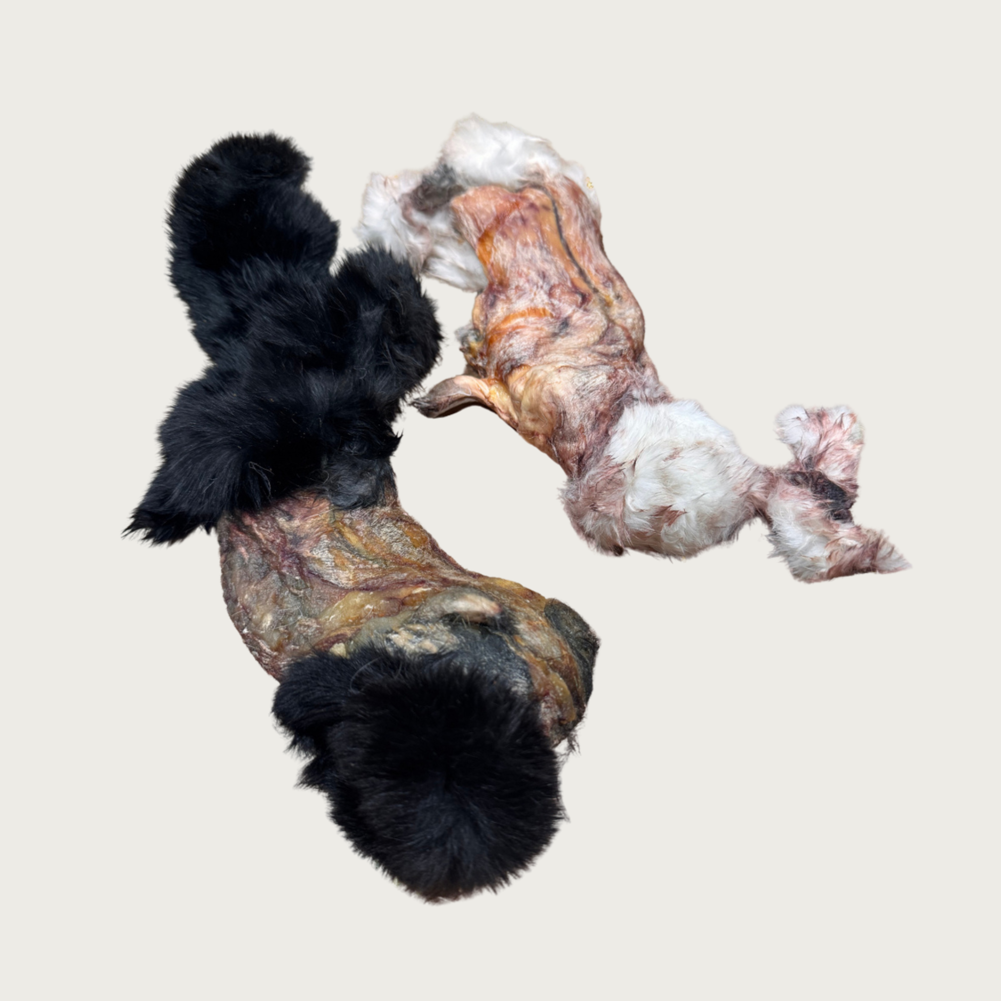 Two raw rabbit pelt hides with fur; one black and one white, to show some size and color variations.