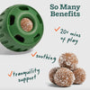Image of green Pupsicle toy with Calming Pupsicle Pop in it on top left. Bottom right is a cluster of four pops. Text reads: So Many Benefits, 20+ mins of play, soothing, tranquility support. 