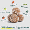 Close-up image of four Calming Pupsicle Pops in center (tan, smooth balls coated in coconut), with illustrations of the key ingredients; coconut, passion flower, tryptophan, magnesium, and blueberry. Text on bottom reads "Wholesome Ingredients". 