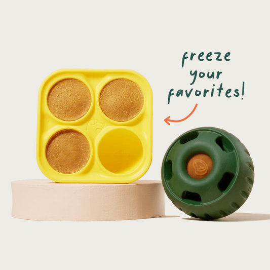 Pupsicle Treat Tray next to a green Pupsicle toy. Text pointing to tray says "freeze your favorites".