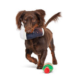 Dark brown, long-haired dachshund mix dog, appears to be running with the Stout Snout beer toy in its mouth to show scale. The whiskey toy is laying at its feet.