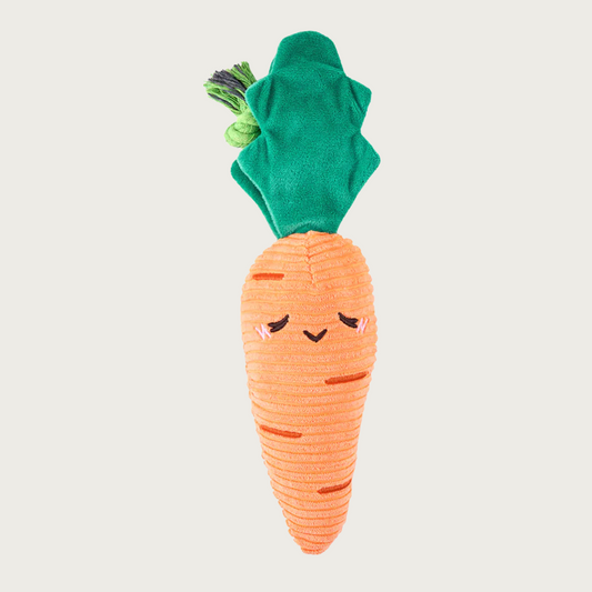 Plush carrot dog toy with cute embroidered face. Its body is orange corduroy with dark green leaves with a green rope sandwiched between them.