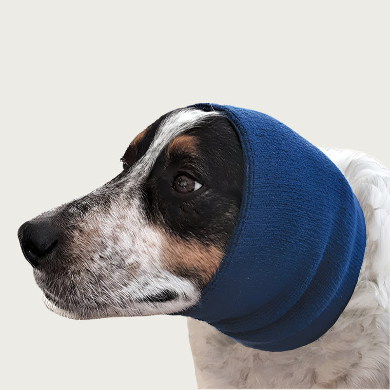 Pointer dog wearing a navy blue knitted Happy Hoodie around its head, looking to the left.