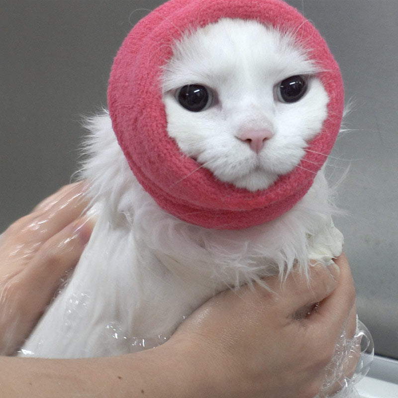 White, long-haired cat wearing a folded bright pink knitted Happy Hoodie around its head, looking to the right.