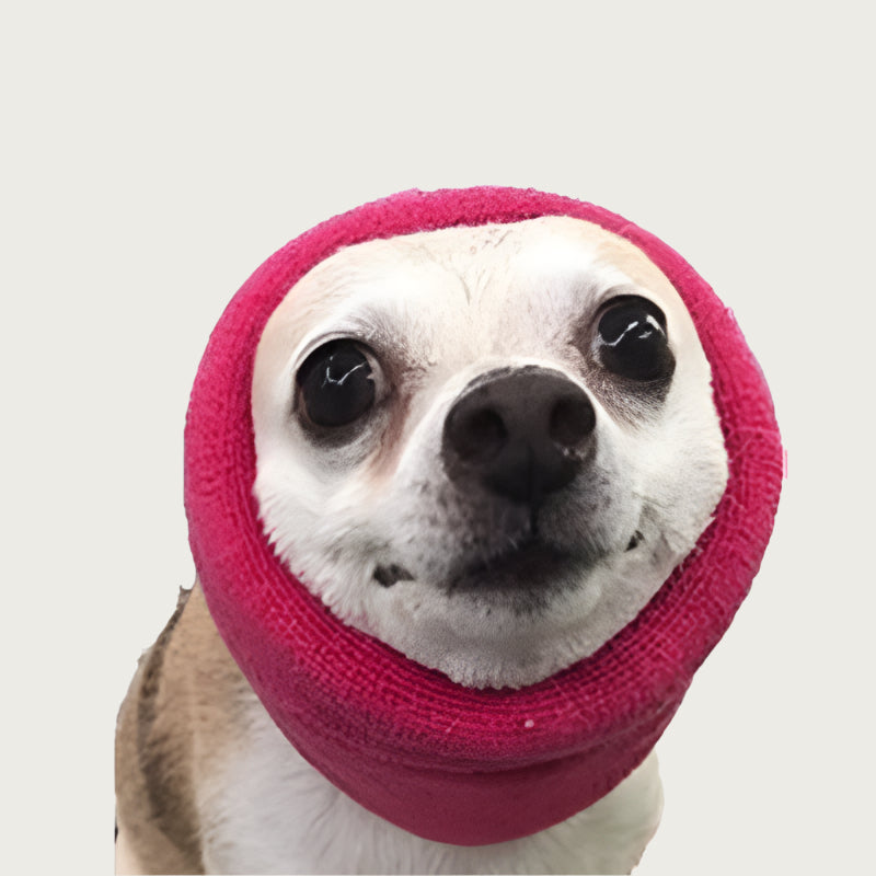 Chihuahua wearing a bright pink knitted Happy Hoodie around its head, looking straight ahead.