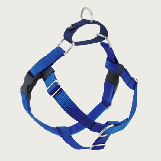 Dog harness with bright blue nylon straps on the front and sides; loop on dog's back is navy blue. Chest strap is bright blue velvet. There are 2 black plastic clips, which fasten behind each front leg. 
