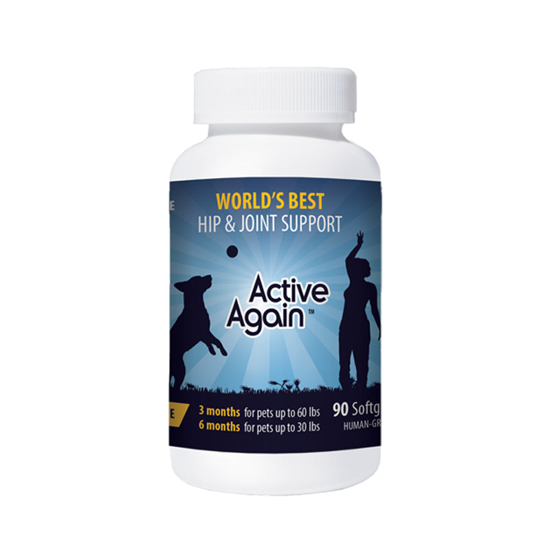 Active Again – Wet Nose