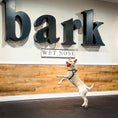 Load image into Gallery viewer, BARK Room – Private Playtime
