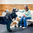 Load image into Gallery viewer, BARK Room – Private Playtime
