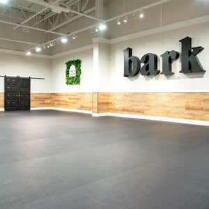 BARK Room – Private Playtime Private Listing