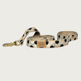 Load image into Gallery viewer, Antique Dot Collar
