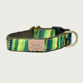 Load image into Gallery viewer, Kelley Green Ikat Collar
