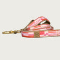 Load image into Gallery viewer, Studio Stripe Collar
