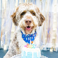 Load image into Gallery viewer, Birthday Pawty - Reservation
