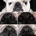 Load image into Gallery viewer, Snout Soother

