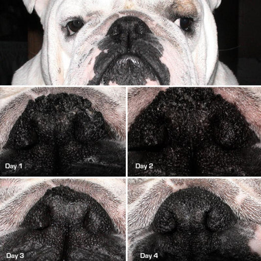 Snout Soother