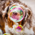 Load image into Gallery viewer, Birthday Pawty - Bubble Machine
