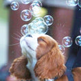 Load image into Gallery viewer, Birthday Pawty - Bubble Machine
