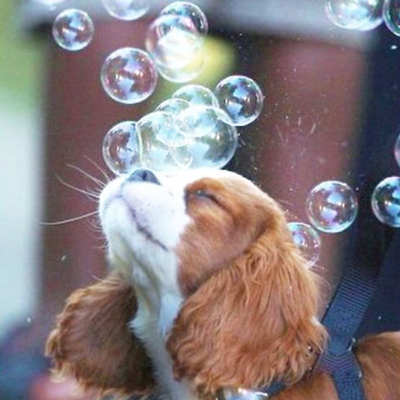 Birthday Pawty - Bubble Machine