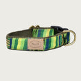 Load image into Gallery viewer, Dog collar with vertical striped pattern in vibrant shades of green with blue.
