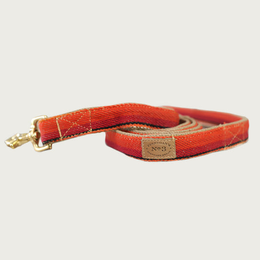 Dog leash with a serape blanket-inspired design, in bright shades of orange and red.