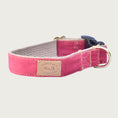 Load image into Gallery viewer, Bubblegum pink corduroy dog collar with black plastic buckle and brass D-ring.
