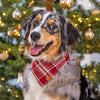 Marsala Plaid Bandana