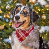 Marsala Plaid Bandana