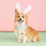 Sugar Bunnies Bandana