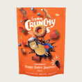 Load image into Gallery viewer, A 6 oz orange bag of Fromm Crunchy O's Multigrain Peanut Butter Jammers flavor dog treats. Mini photos of the round ring shaped treats, whole, unshelled peanuts, strawberries and blueberries are featured, along with an illustration of a flying peanut man being shot out of a cannon.
