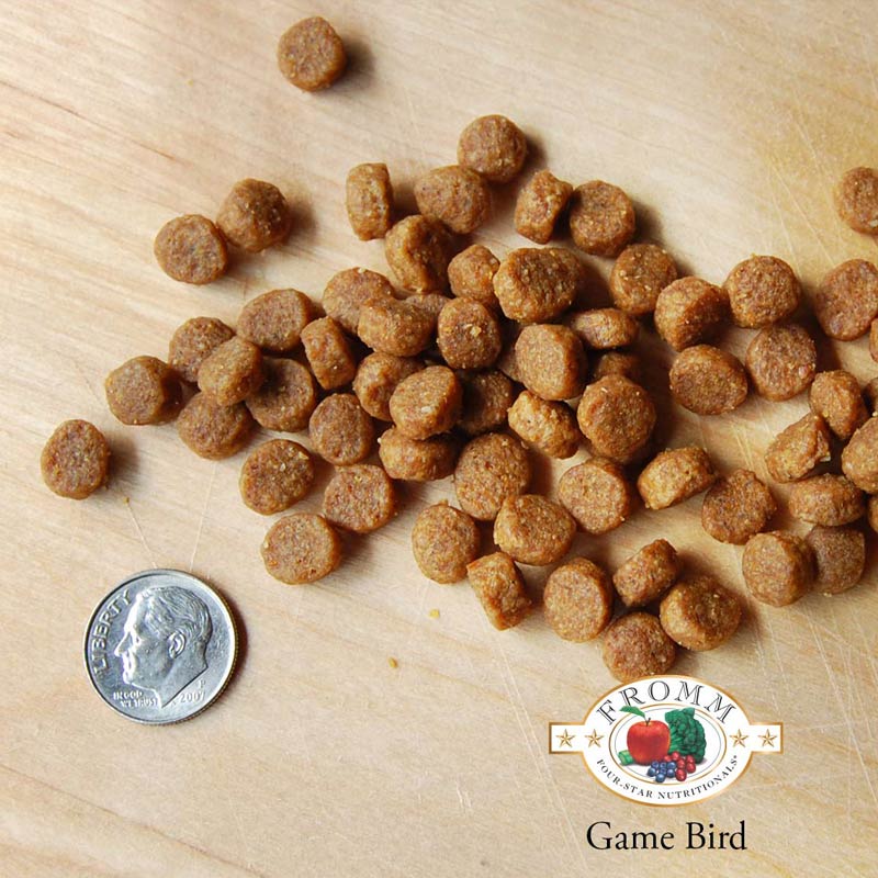 A close-up image of a handful of dry Game Bird kibble pieces, next to a dime for size comparison. About 3 of the pieces would fit into the area of the dime. They are small, and about the size and shape of a pencil eraser.